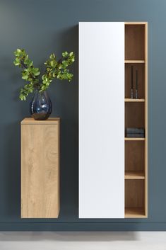 an empty bookcase next to a plant in a vase