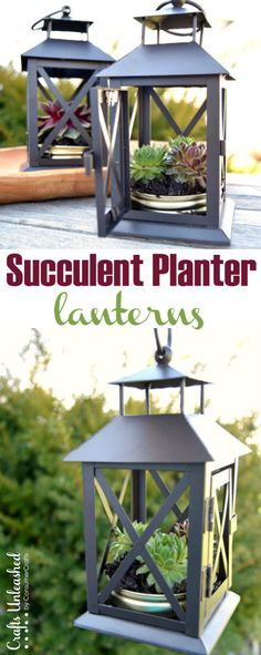 an outdoor planter with succulent plants in it and the words succulent plant