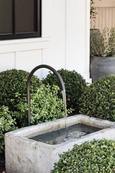 a water fountain in the middle of some bushes