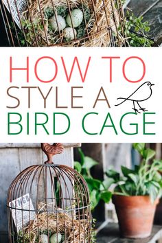 how to style a bird cage for the garden or patio with plants and eggs in it