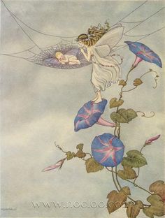 an illustration of a fairy sleeping on a flower