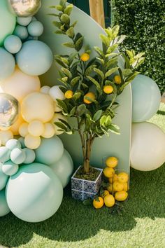 there is a potted plant next to balloons and lemons on the grass in front of a surfboard