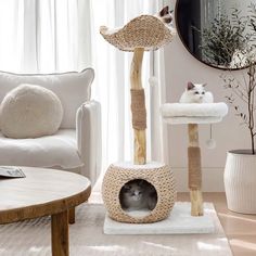 a cat sitting on top of a scratching post in a living room