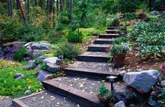 a set of stone steps leading up to a forest