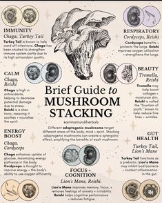 an info sheet describing the different types of mushrooms