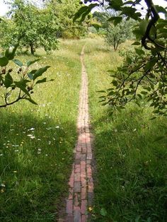 a brick path in the middle of a grassy field