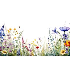 a painting of flowers and butterflies on a white background with an empty space for the text