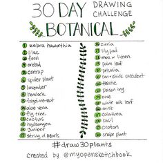 the 30 day drawing challenge is here to help you learn how to draw botanical plants