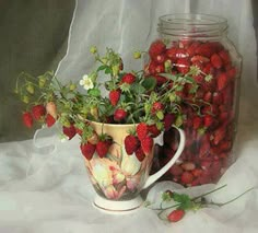 a painting of strawberries in a pitcher and glass jar on a white table cloth