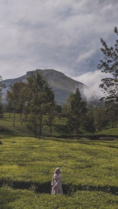 a woman standing in the middle of a lush green field next to a mountain covered in clouds