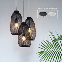 three black mesh bags hanging from the ceiling with lights on them and palm tree in the background