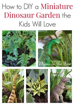 how to diy a miniature dinosaur garden the kids will love