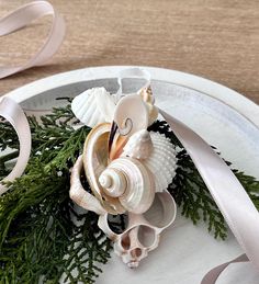 an arrangement of seashells and greenery on a white platter with ribbon