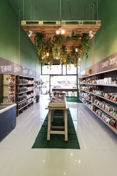 the inside of a grocery store filled with lots of shelves and hanging planters on the ceiling