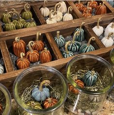 several jars filled with small pumpkins sitting on top of a counter