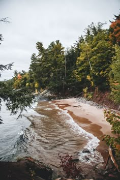 the beach is next to some trees and water with waves coming in from the shore