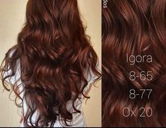 Igora Hair Color, Amber Hair, Best Hairstyles For Women, Black Hair Balayage, Korean Hair Color, Hair Color Formulas, The Best Hairstyles