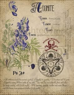 Journal Witchcraft, Plant Knowledge, Witches Book, Stary Papier, Magia Das Ervas, Grimoire Book