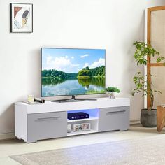 a flat screen tv sitting on top of a white entertainment center next to a potted plant