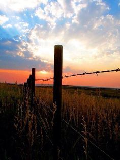 the sun is setting behind a barbed wire fence in an open field with tall grass