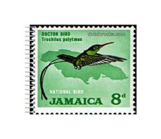 a postage stamp with a hummingbird on it's back and the words jamaica 8