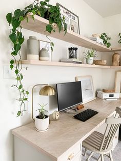 a desk with a computer on it and some plants in the corner next to it