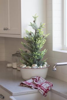 a potted christmas tree sitting on top of a kitchen counter next to a window