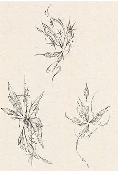 three different types of flowers drawn in pencil and ink on paper, each with an individual's own design