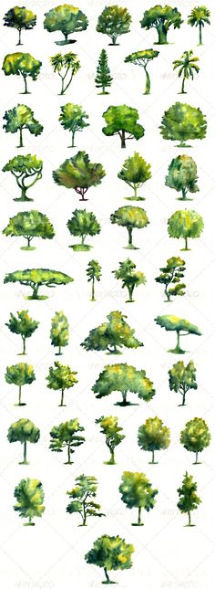 watercolor trees and bushes are shown in this image, with green leaves on them