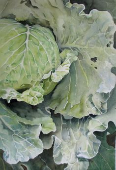 a painting of lettuce with green leaves