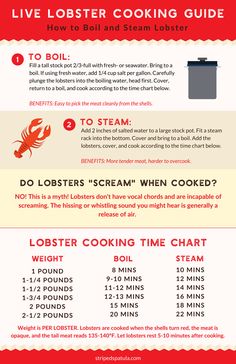 the ultimate guide to cooking lobsters info