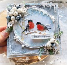 a handmade card with two birds sitting on a branch and snowflakes in the background