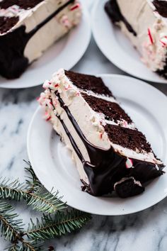 three slices of chocolate cake with white frosting and candy canes on plates next to evergreen branches