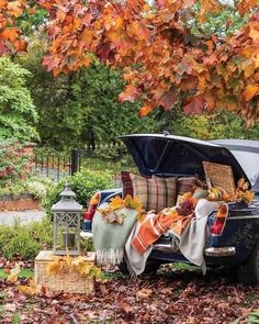 the trunk of an old car is covered with blankets and autumn leaves