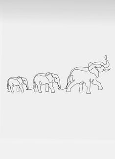 three elephants are walking in a line across the plain, one is black and white