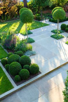 an aerial view of a garden with trees and bushes