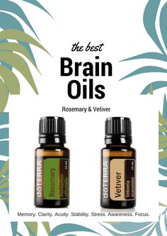 Doterra Vetiver, Brain Memory