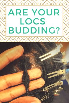 Budding Phase Locs, Locs Budding Stage, Loc Budding Stage, Diamond Part Locs, How To Loc Hair, Loc Sprinkles Locks, Started Locs Styles, Loc Growth Progress, Loc Stages