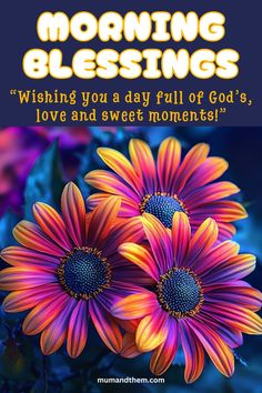 three colorful flowers with the words morning blessings on it, and an image of two purple