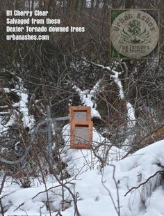 there is a sign in the snow by some bushes and trees with no leaves on it