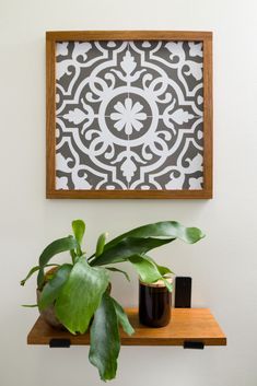 a potted plant sitting on top of a wooden shelf next to a framed art piece