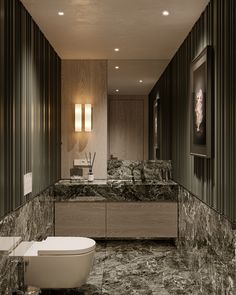 an image of a bathroom setting with marble counter tops and floor to ceiling walls, along with a toilet in the foreground