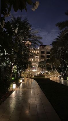 the walkway is lit up at night with palm trees