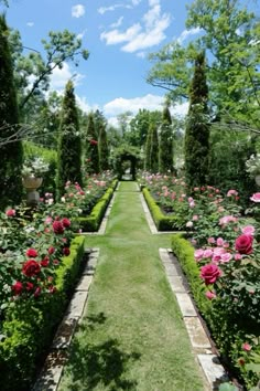 the garden is full of flowers and trees