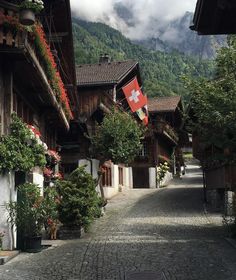 a cobblestone street with houses and flowers on both sides in front of mountains