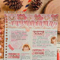 an open notebook with writing on it next to pine cones and other items in the background