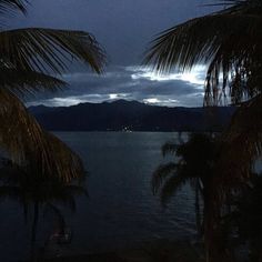 palm trees are silhouetted against the night sky and water with mountains in the distance