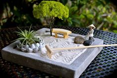 a miniature garden with rocks and plants