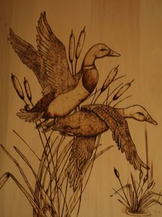 a drawing of two ducks in the water