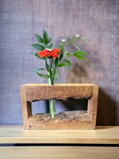 a flower in a wooden vase on top of a table